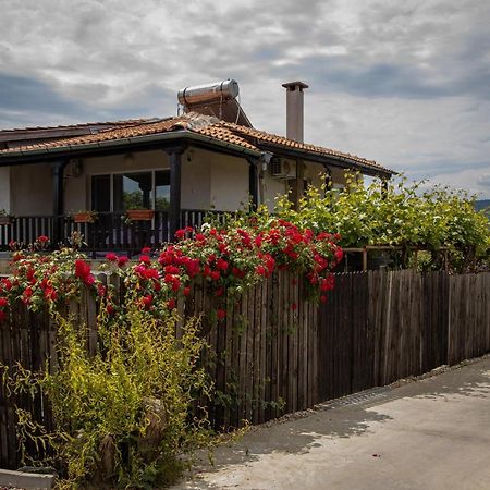 Villa Beni ~ 4-Bedroom Private House Lozenets Esterno foto